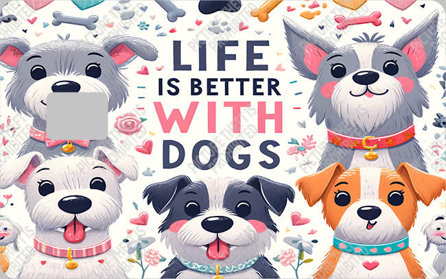 Bank  Card Sticker-BC-432